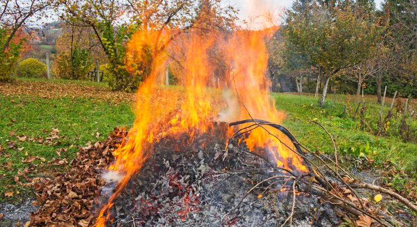 Figyelmeztetik a magyarokat: ezt jobb, ha senki sem teszi meg a kertjében