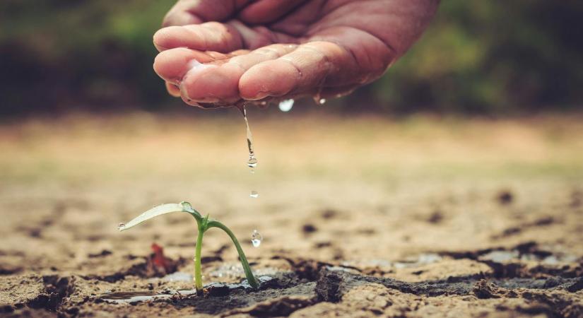 Aszály, vízhiány, rossz válaszok – zsákutca felé tart a magyar mezőgazdaság?