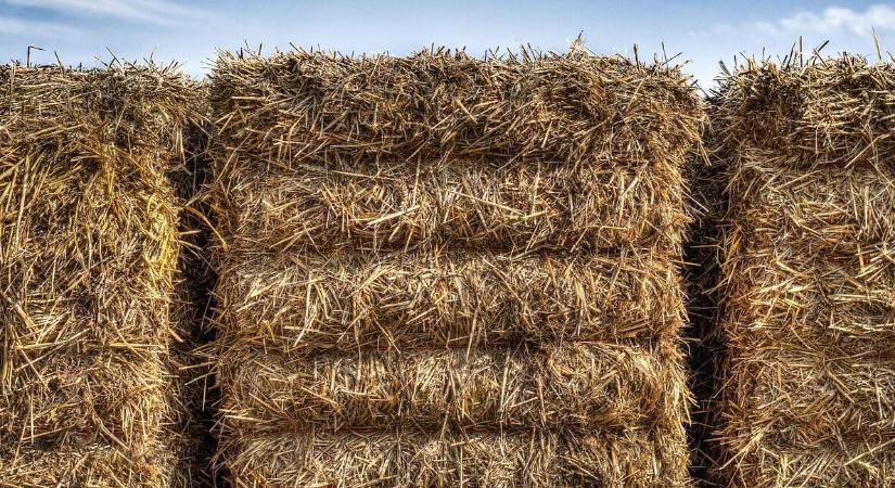 Kockázatos vállalkozásba fogott egy család a szalmabálákkal, de kifizetődött a hatalmas ötlet
