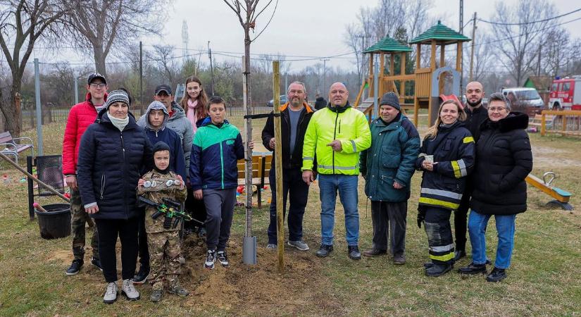 A jövő nemzedékének, egy közösségként ültettek új fákat Likócson - fotók