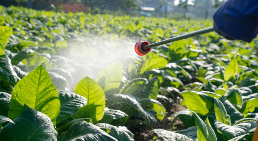 Új őrület hódít: sokan már ezt használják a drága növényvédők helyett