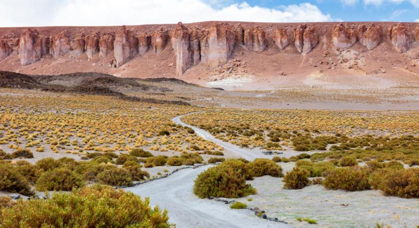 Madárszar tette termékennyé az Atacama-sivatagot