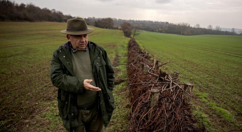 Kilenc magyar falu megmutatta: nem a víz az úr