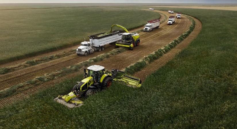 4096 tonna szilázs 12 óra alatt – világrekordot döntött a CLAAS JAGUAR 1200