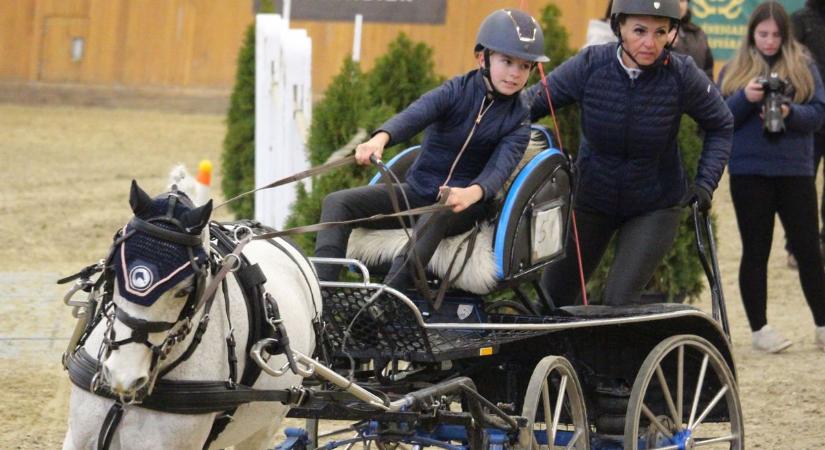 Pónihajtók és világbajnok is versenyeztek Szilvásváradon