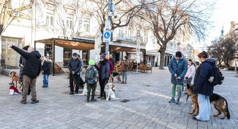 Élni kell a karácsonyi vásár adta lehetőségekkel! - fotók