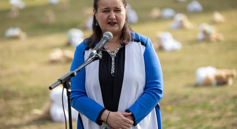 Zelenszkij újjáépítésért felelős tanácsadót nevezett ki