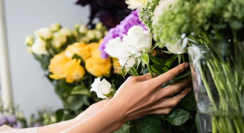 Személyiségteszt: a választott virág megmutatja, mennyire vagy nárcisztikus