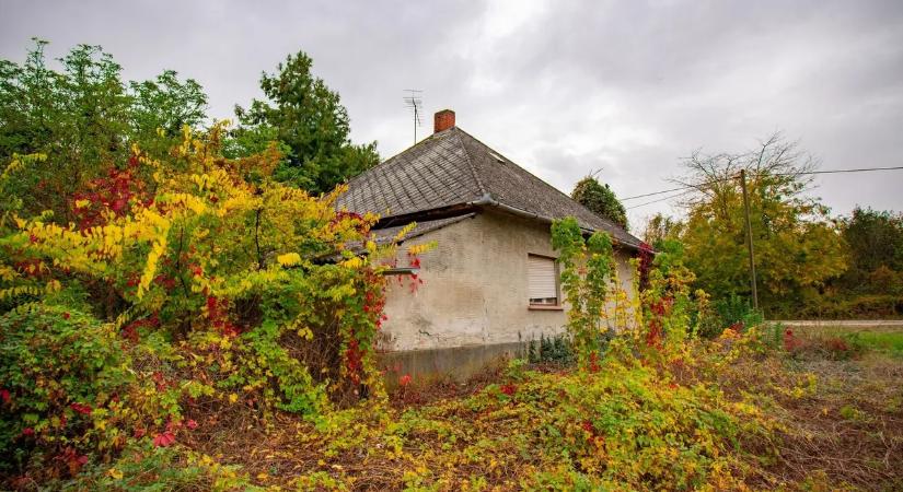 Gyerekjátékok és szuvenírek szanaszét: mindent hátrahagyva tűnt el a házukból egy magyar család