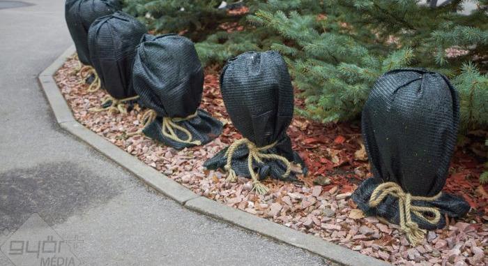 Kertbarát: Teleltetés, téli takarás