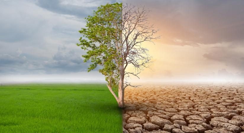 Kovács Erik: felgyorsult az éghajlatváltozás, ami beláthatatlan következményekkel járhat