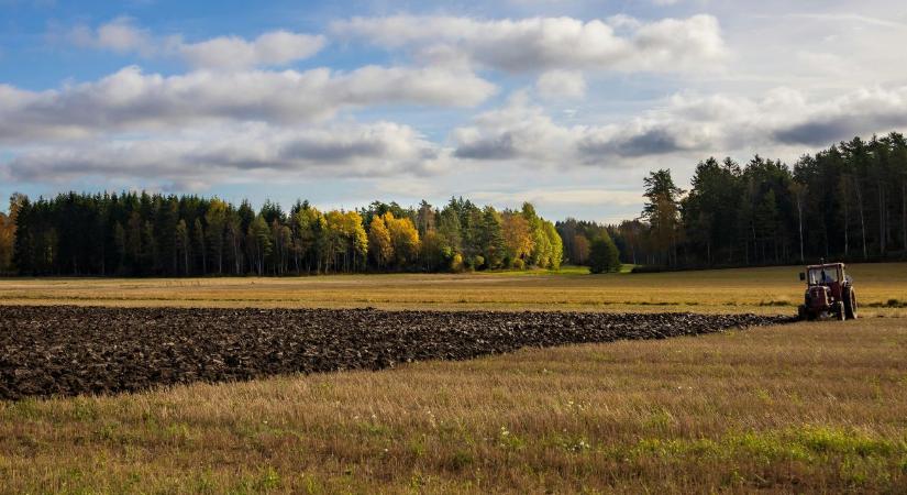 Tél a naptárban, ősz az ablakon túl: marad a ködös, enyhe idő VIDEÓ