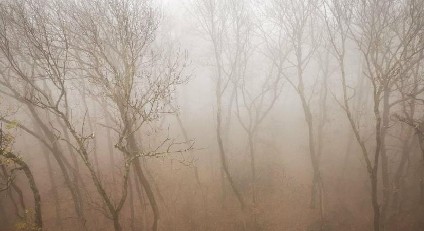 Mínuszokkal és köddel indul a hét - ilyen időt hoz a december Komárom-Esztergomba