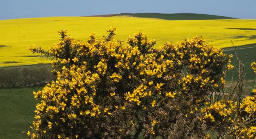 Szerinted a magyar gazdákat mi motiválja a természet védelmére?