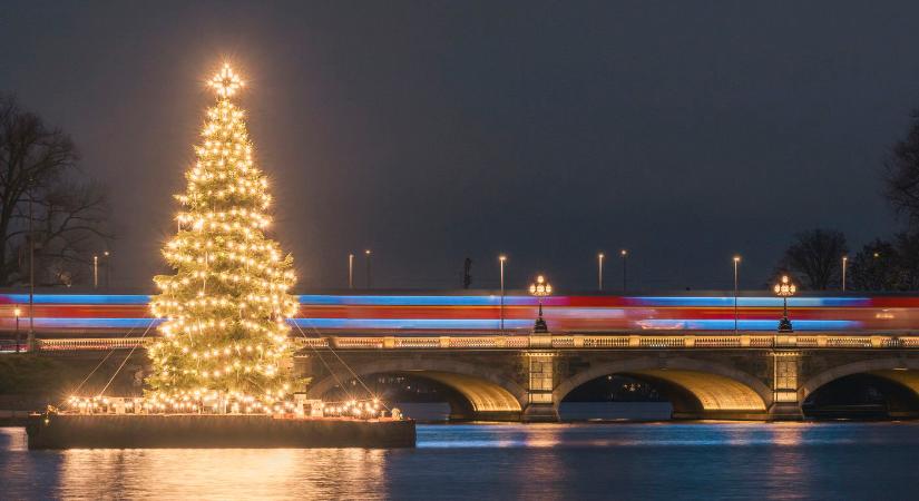 Ez a legjobb időpont a karácsonyfa megvásárlására, itt a dátum, óriási titkot árult el a szakember