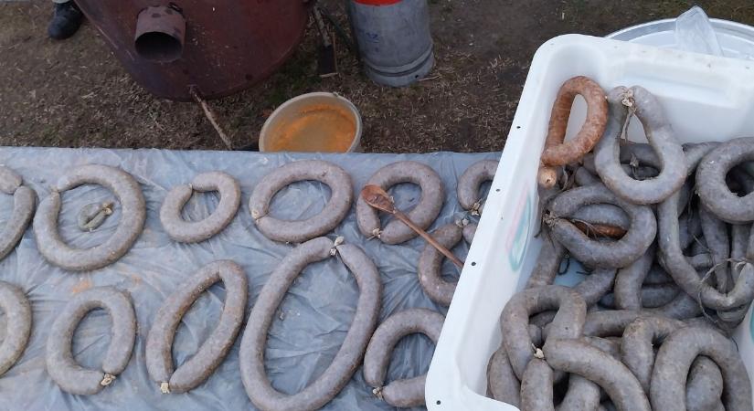 András, kopog a pallás – disznóölés, házasságjóslás és halásztilalom Szent András napján