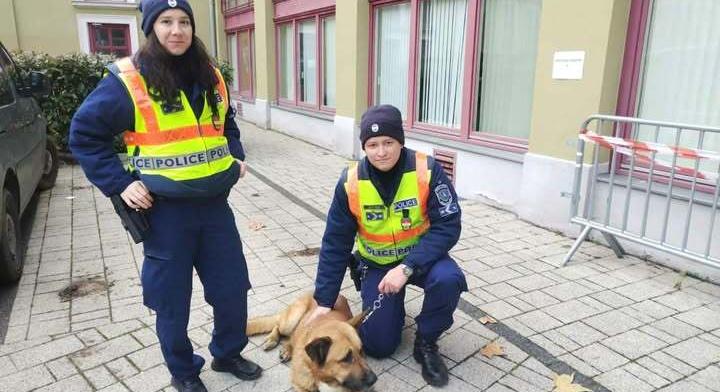 Kóbor kutyát találtak a Dobó téri Adventi vásárban – rendőrök segítettek hazajuttatni Ivánt