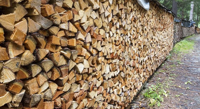 Hiába veszi drágán a tűzifát, ha így tárolja, penész, gomba és hideg lakás lesz a vége
