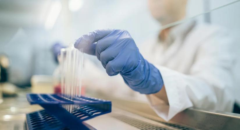 Újabb pandémia a láthatáron? A madárinfluenza lehet a következő Covid-19