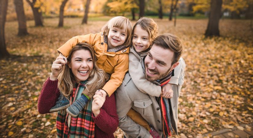 A vas láthatatlan tartalékai: hogyan működnek a vasraktárak, és mitől ürülnek ki?