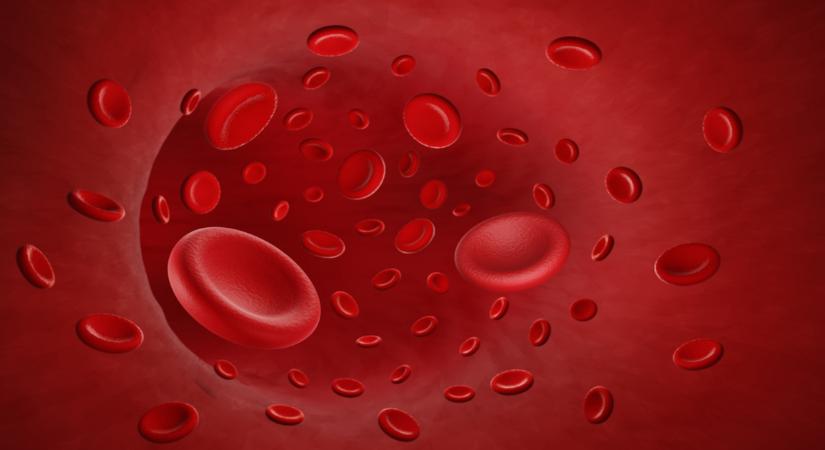 Vashiány: amit sokan félreértenek – mi az igazság?