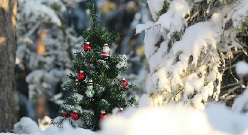 Tényleg ilyen idő lesz karácsonykor? Lelombozó az előrejelzés