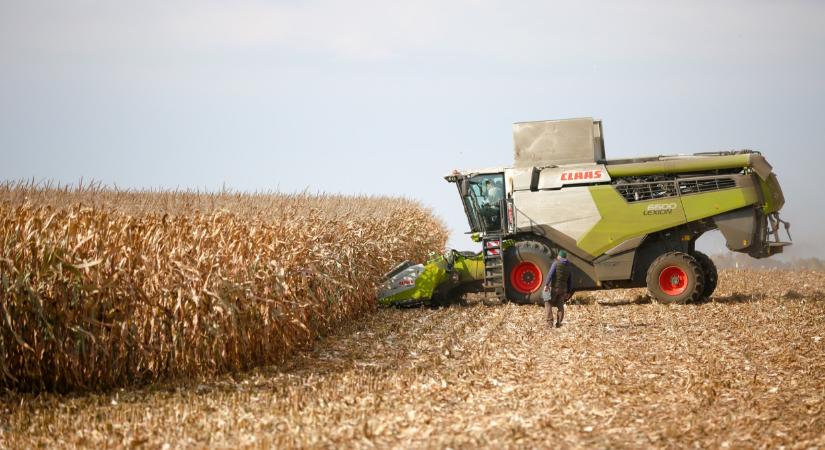 Ismét bizonyítottak a KWS kukoricahibridek az MKK TOP20 kísérletekben!