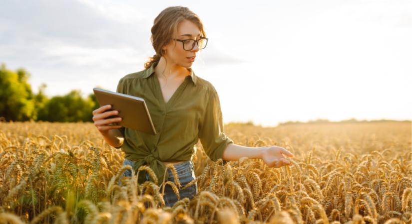 Mezőgazdasági appok tabletre: hozamtérkép, permetezési napló, költségkontroll