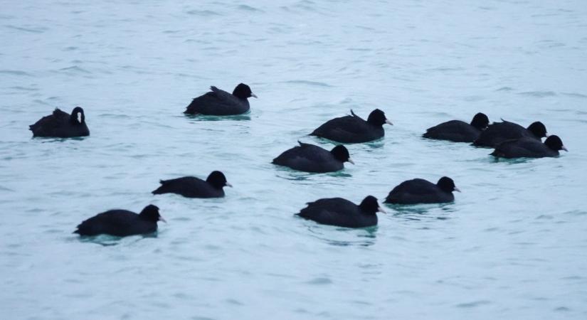 Nagyot fordul hétfőn a széljárás, mutatjuk, mit hoz a tél első napján Veszprémbe