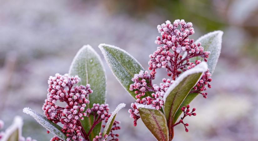Ma Elza és Natália névnapja van – Milyen a személyiségük?