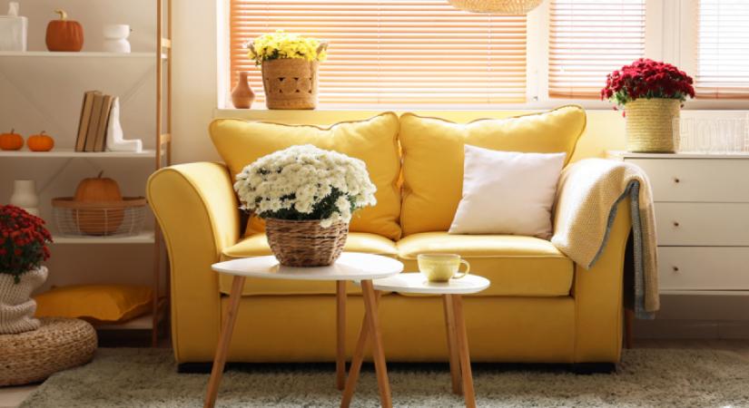 6 gyakori lakberendezési hiba, amitől kicsinek és zsúfoltnak tűnik a lakás