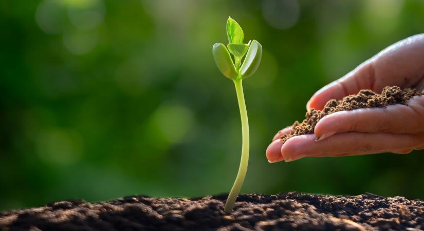 Egyre több gazda használ ilyen szereket itthon: ez a jövő megoldása?