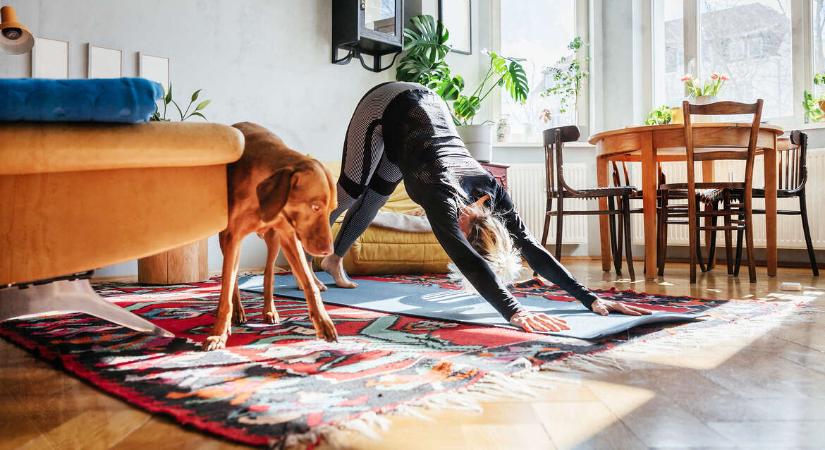 A túlértékelt hajlékonyság és a hipermobilitás, amiről keveset beszélünk, pedig kellene