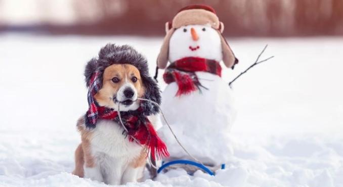 Téli szünet, szombati tanítás, indul az egyetemi felvételi - itt vannak a december legfontosabb dátumai