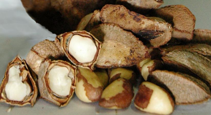 Igazi szelénbomba ez a héjas gyümölcs!