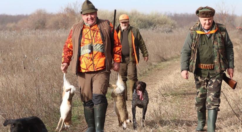 Egy új vírus tizedeli a mezei nyulakat, óriási veszélyben van az állomány