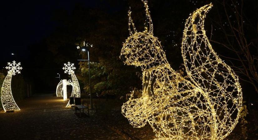 Elképesztő fények, varázslatos élmények – Pécs titkos erdeje vár rád!