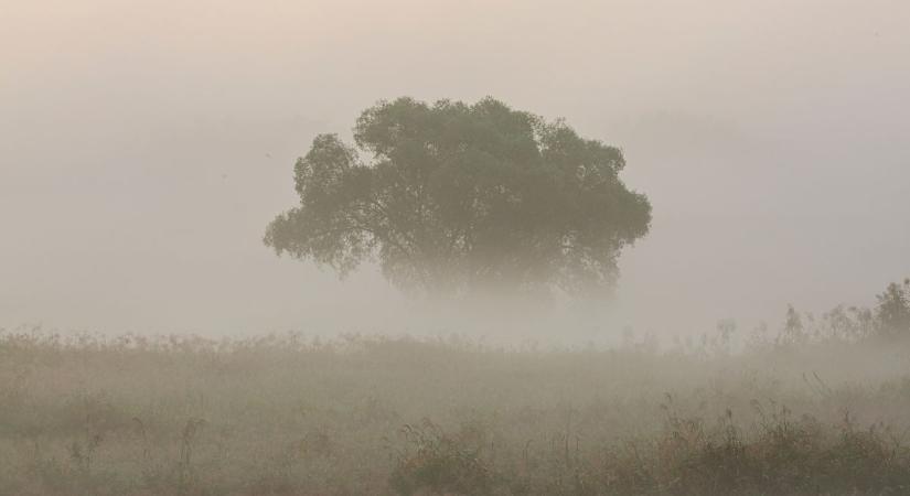Hétfői időjárás: sűrű ködre figyelmeztetnek Vas vármegyében