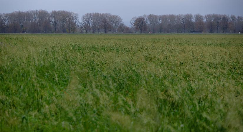 Szutykos napok érkeznek, az igazi tél még várat magára