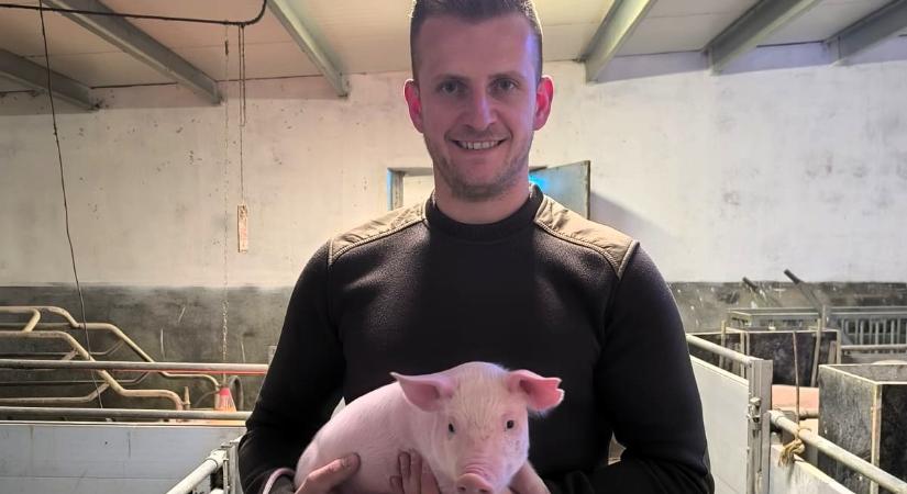 Minőség és megbízhatóság: sajnálatos tűzeset után építette újra sértésfarmját László Emil