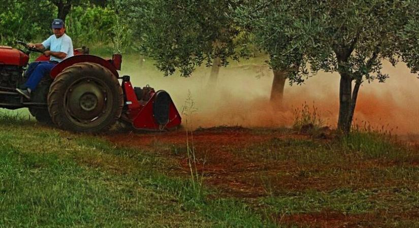 Hatalmas régészeti felfedezés, egy gazda traktora nem akármit fordított ki a földből