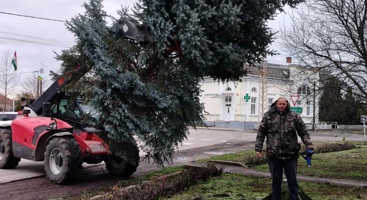 Felállították a falu karácsonyfáját Csányban 