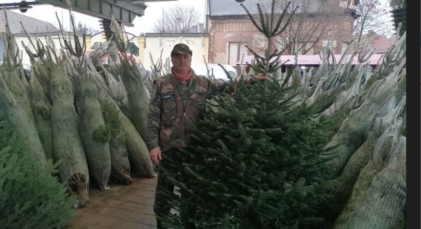 Piaci Fenyőláz 2025 december 09-től ismét Kecskeméten.