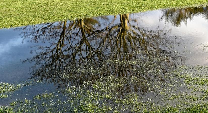 Hubai Imre: Eredményes volt az aszály elleni védekezés