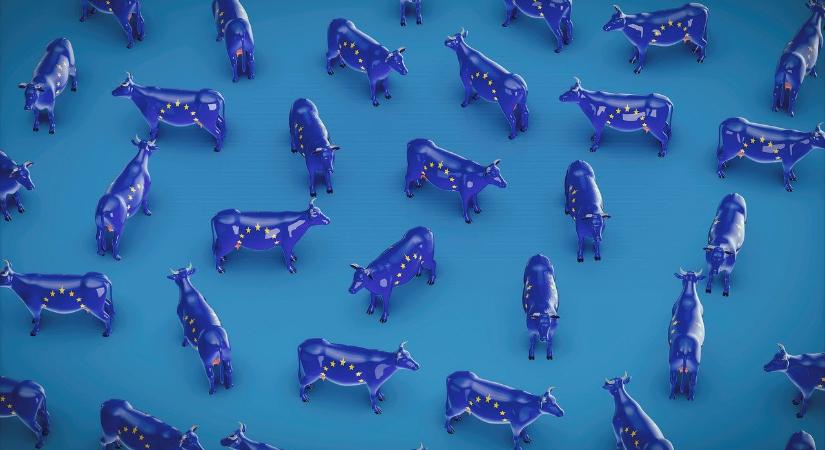 Európa már régen kizárta magát az ukrajnai tárgyalásokból