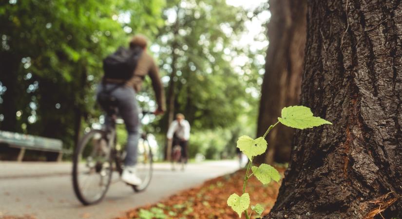 Elindulhat az Esztergom–Dömös közötti kerékpárút tervezése