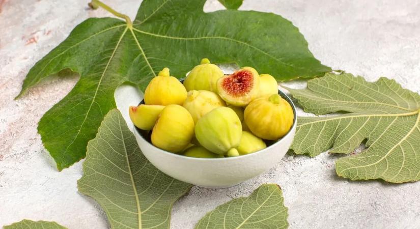 Kincset érő házi gyógymód rejtőzik a fügefa levelében – Kecskeméten még az utcán is hozzá juthat!