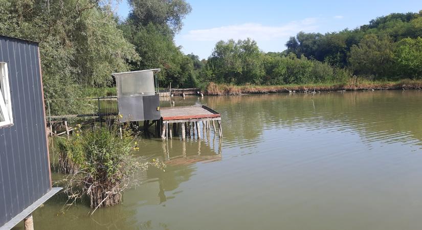 Tilalom: új szabályok a hazai vizeken, így védik ezt a fajt