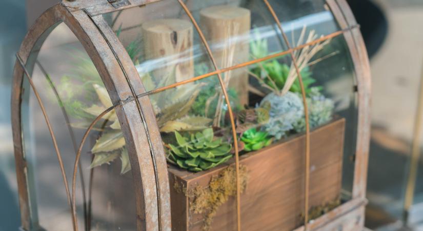 Itt a szobanövények új dimenziója, a floráriumot bárki meg tudja csinálni