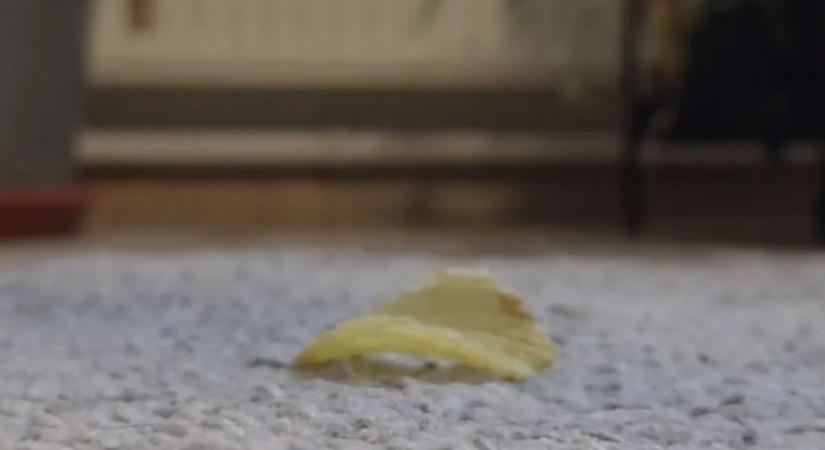 Mit ér, ha megfújjuk a leesett ételt? - a szakember letesztelte